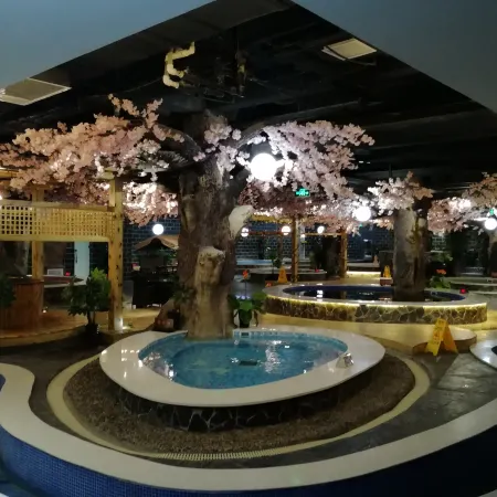 Ordos Tieniu Phoenix Hotel