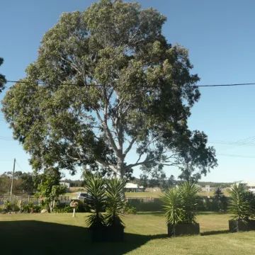 Getaway Inn Boutique Guest House