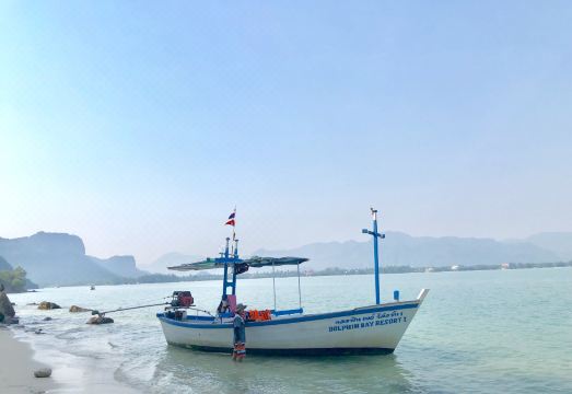 Dolphin Bay Over view