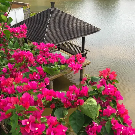 Qinuan Xiyuezhuang Boutique Guesthouse