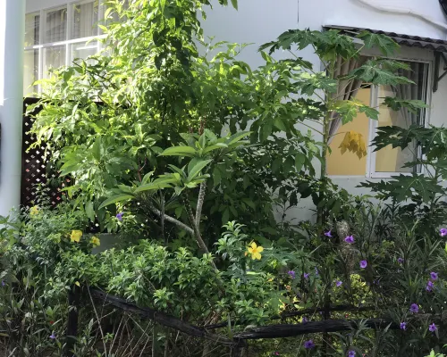 日光平房 房間 Photos