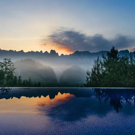 Forest homestay at sunrise