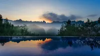 Forest homestay at sunrise - 인피니티 풀