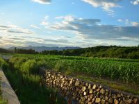 北京画田山居民宿 - 隐逸居小院