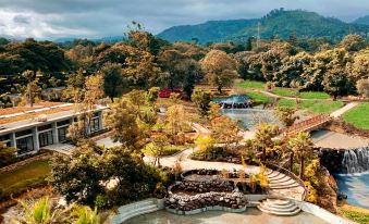 a large , well - maintained garden with various plants and trees , as well as a swimming pool and a path leading to the main entrance of at Gran Melia Arusha