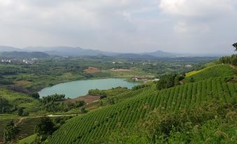 Fuyang Nanjuye She (Nanshan Bamboo Sea Branch)