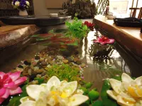 Hanshe Hotel - واي فاي