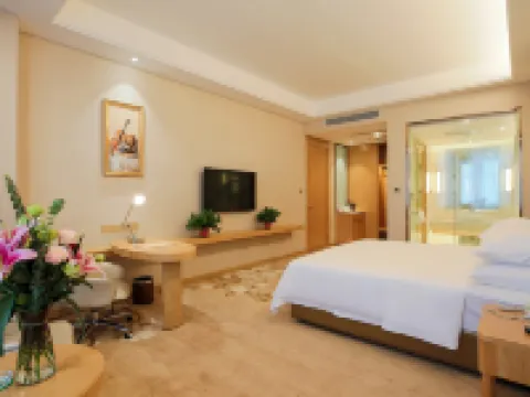 Vienna International Hotel Hoteles en Puyang