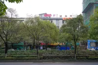 Lvsenlingongyu