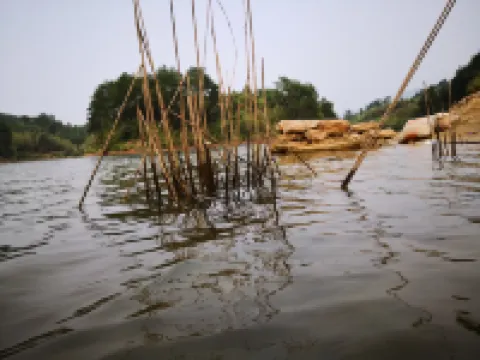 Yueyang County Zhang Guying Homestay