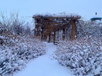 查干湖松发集团度假宾馆 - 花园