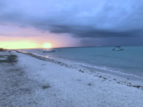 Ama Yucatan Hoteles en Progreso