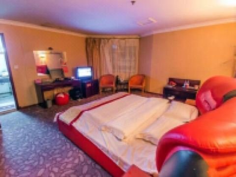 射洪泰和大酒店 - 商务单间