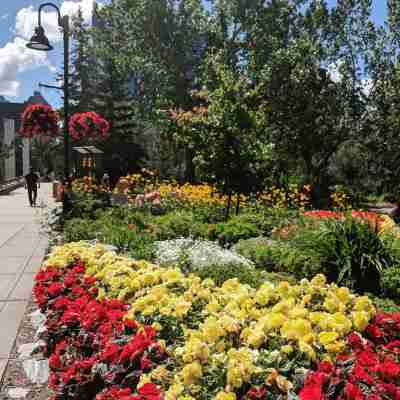 Sheraton Suites Calgary Eau Claire Hotel Exterior