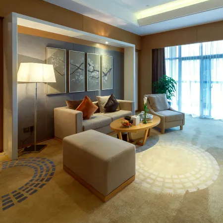 Kejia New Century Hotel Отели в г. Шанхан