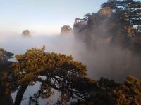 月初民宿(黄山风景区南大门汤口换乘中心店) - 酒店附近