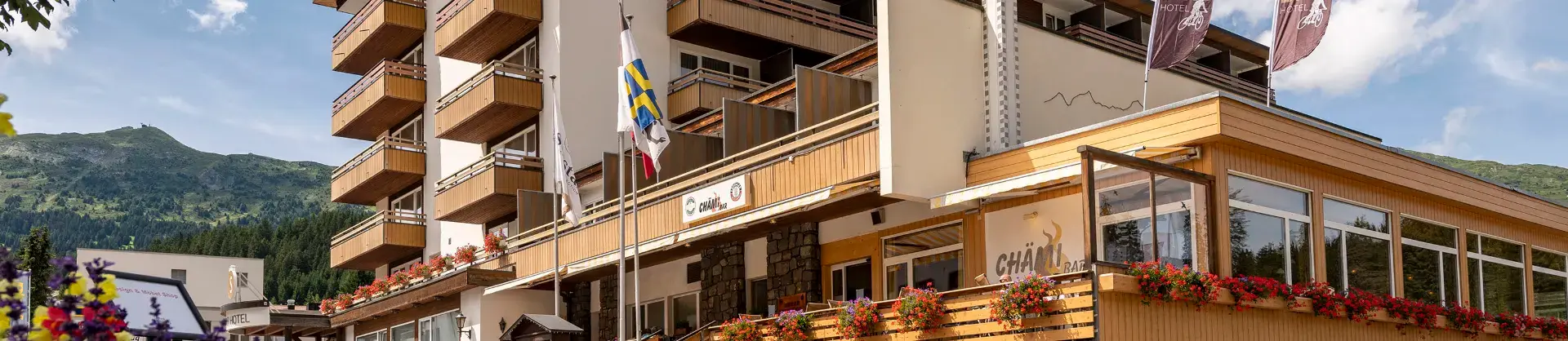 Ski Hotels