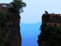 万仙山景香府宾馆 - 酒店附近