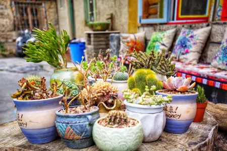 Daocheng Sanmao Homestay Отели в г. Даочжен