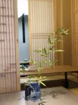 Qingfeng Langyuan Hotel