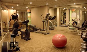 a well - equipped gym with various exercise equipment , including treadmills and weightlifting machines , in a well - lit room at Stage Neck Inn