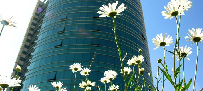 Suites Camino Real Hotels in La Paz