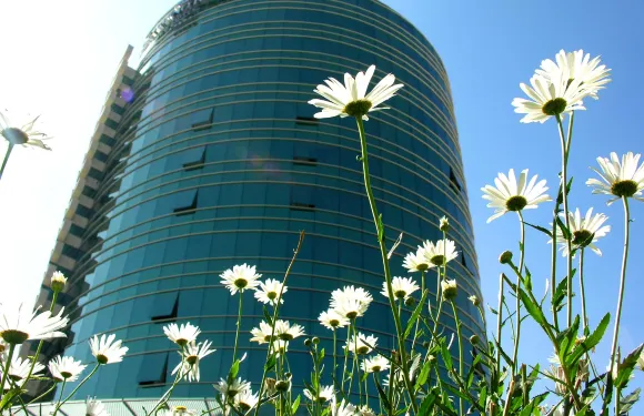 卡米諾瑞爾套房酒店