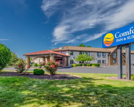 Comfort Inn & Suites Hotels in West Springfield