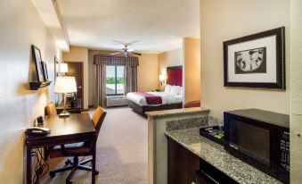 Comfort Suites DFW N-Grapevine