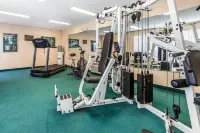 Quality Inn Alcoa Knoxville - Træningscentre