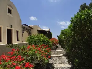 Birds Villa Apartments - Including Car Rental