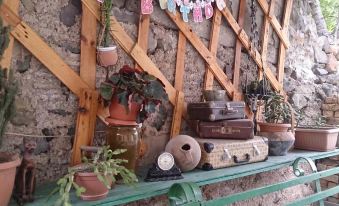 Iris B&B in Debed Canyon