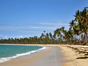 Kijongo Bay Beach Resort