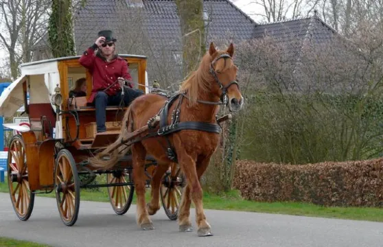 加勒利特希竇恩酒店