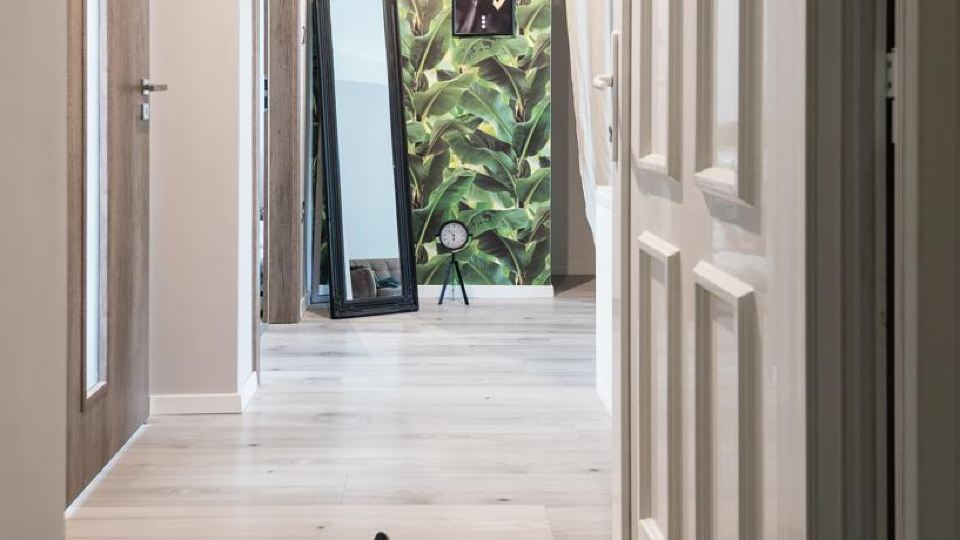 Csapo Apartment