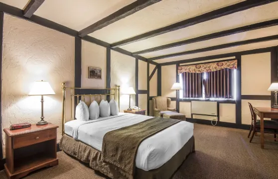 搖擺狗品質酒店