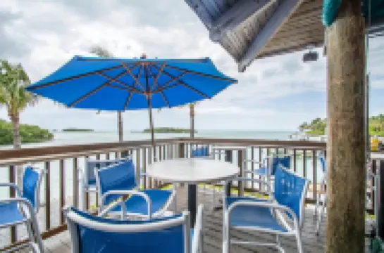 The Hammocks at Marathon