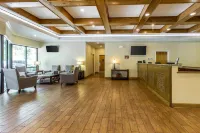 بلوجرين فاكيشنز ماونتن لوفت