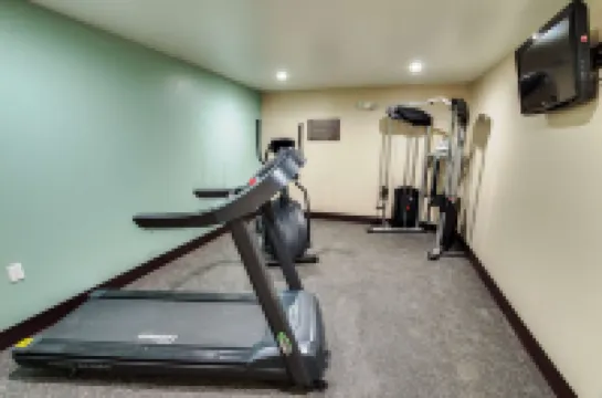 스코티시 인 화이트 세틀먼트