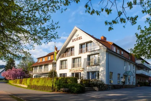 Landidyll Hotel Gasthof zum Freden Hotels in Bad Rothenfelde