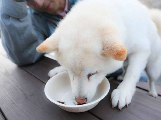 ファームイン南房総 杉田棟 南房総 宿泊予約 安い料金プラン 口コミ 部屋写真 Trip Com ファームイン南房総 杉田棟 南房総 宿泊予約 安い料金プラン 口コミ 部屋写真 Trip Com