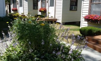 Beach House Lakeside Cottages