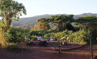 Crater Forest Tented Camp