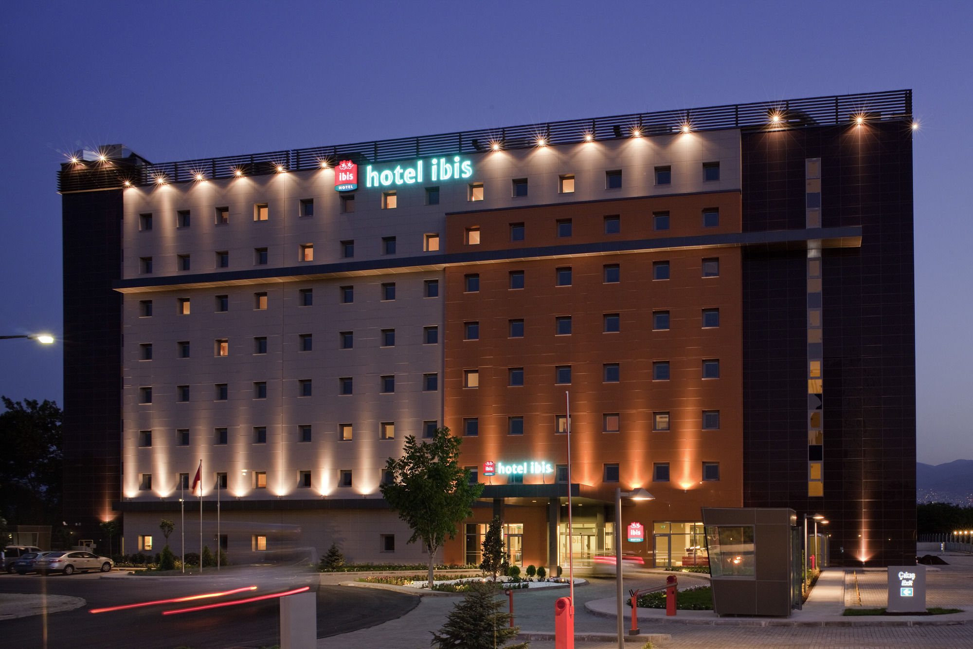 Ibis Bursa