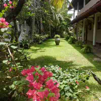 Paradise Beach Club Hotel Exterior