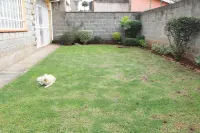 Mdawida Homestay