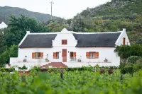 Orange Grove