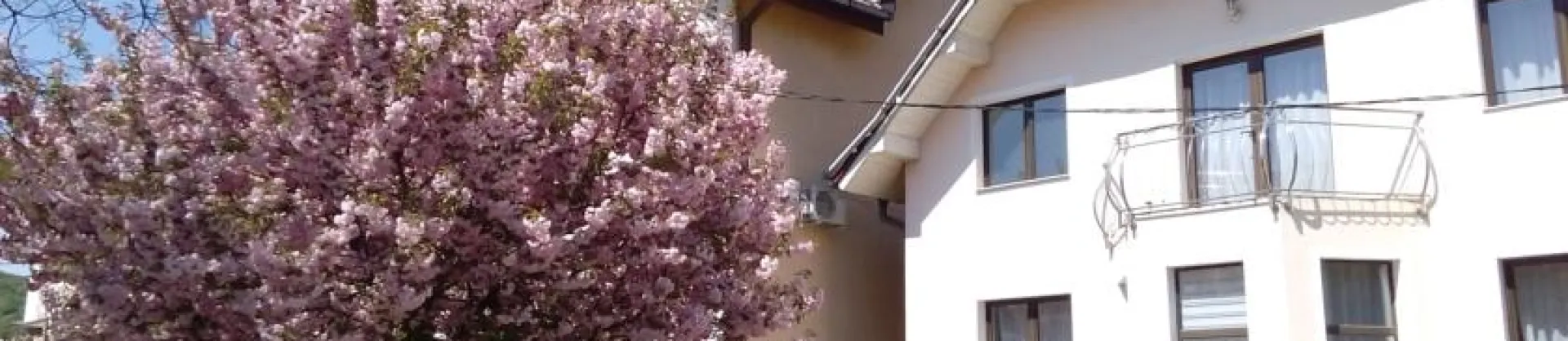 Homestay di lusso: le opzioni più popolari vicino a Dumbrăvița