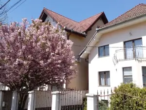 Flora Luxury House