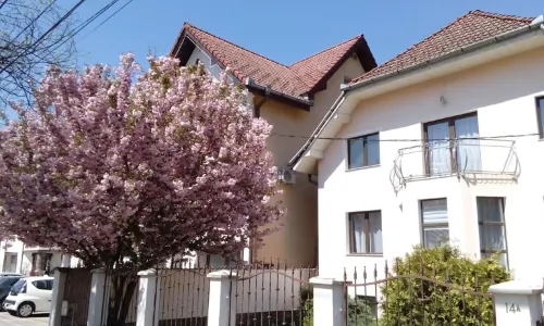 Flora Luxury House